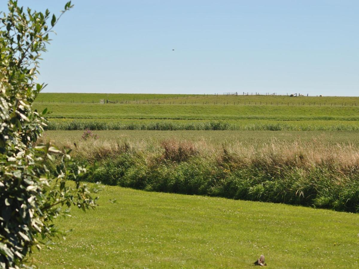 Charming Holiday Home In Texel Near Sea Oost  エクステリア 写真